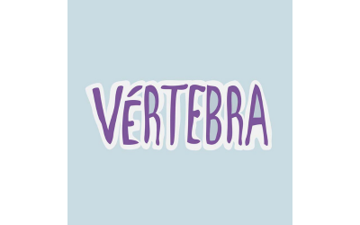 Vertebra