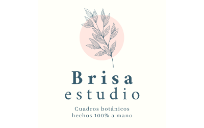 Brisa Estudio