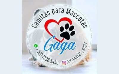 Camitas Gaga