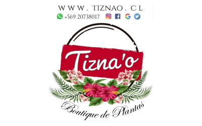 Tiznao