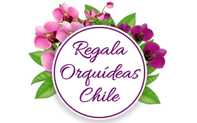 Regala Orquídeas Chile