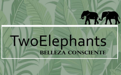 Twoelephants