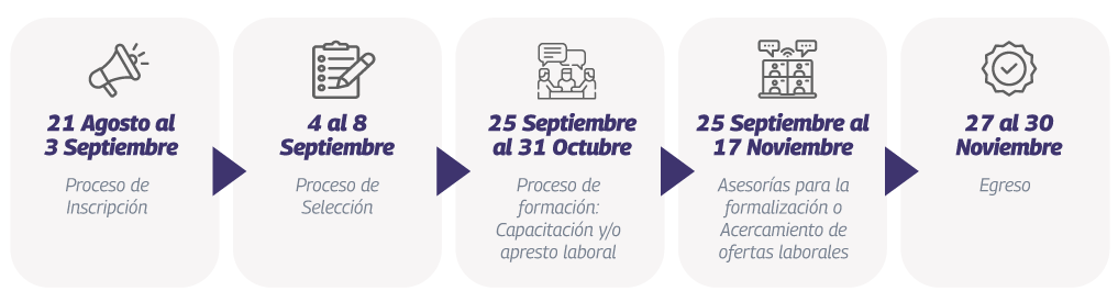 etapas formalizate
