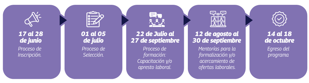 etapas formalizate